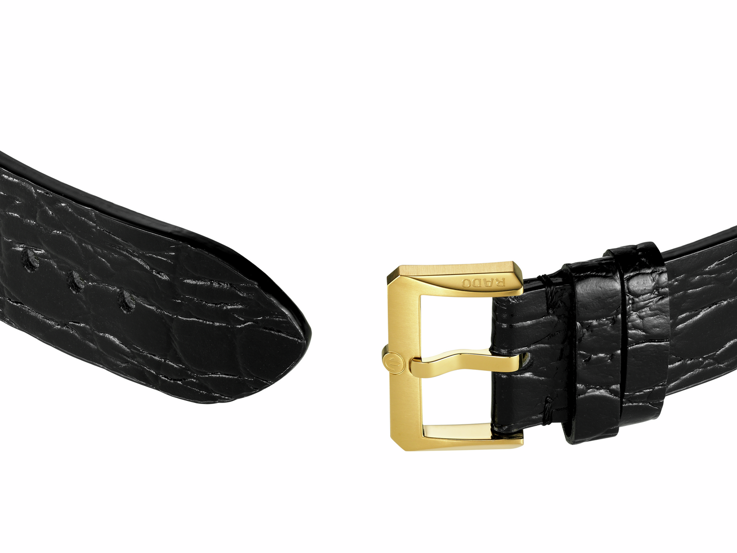 Captain Cook x Marina Hoermanseder Heartbeat - R32117708-R32117708