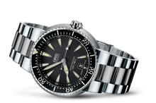 Divers Date, Black, Stainless steel Strap