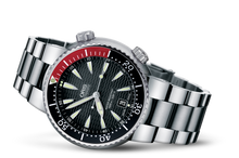 Divers Titan Date, Black, Titanium Strap