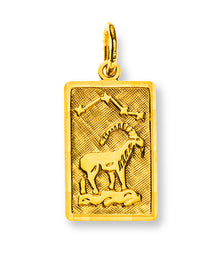 Anhänger Sternzeichen Steinbock Gelbgold 750 H: 14mm / mit Sternbild