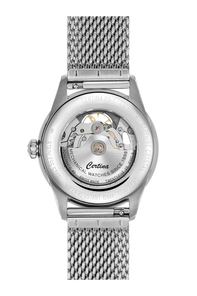 DS-1 Skeleton Silber