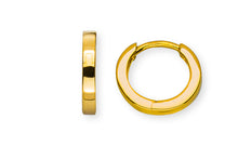 Kreolen Gelbgold 750 U-Profil mit Scharnier