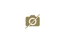 Solitär Ring 6-Griff-Fassung Weissgold 750 H SI PREIS AUF ANFRAGE